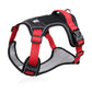 🐕 LIMITED‑TIME 50% OFF! 🦮 No‑Pull Dog Harness Kit with Leash & LED Collar – Escape‑Proof, Breathable Padding & Night Visibility 💡