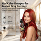 3-in-1 Hair Color Shampoo & Conditioner for Gray Coverage